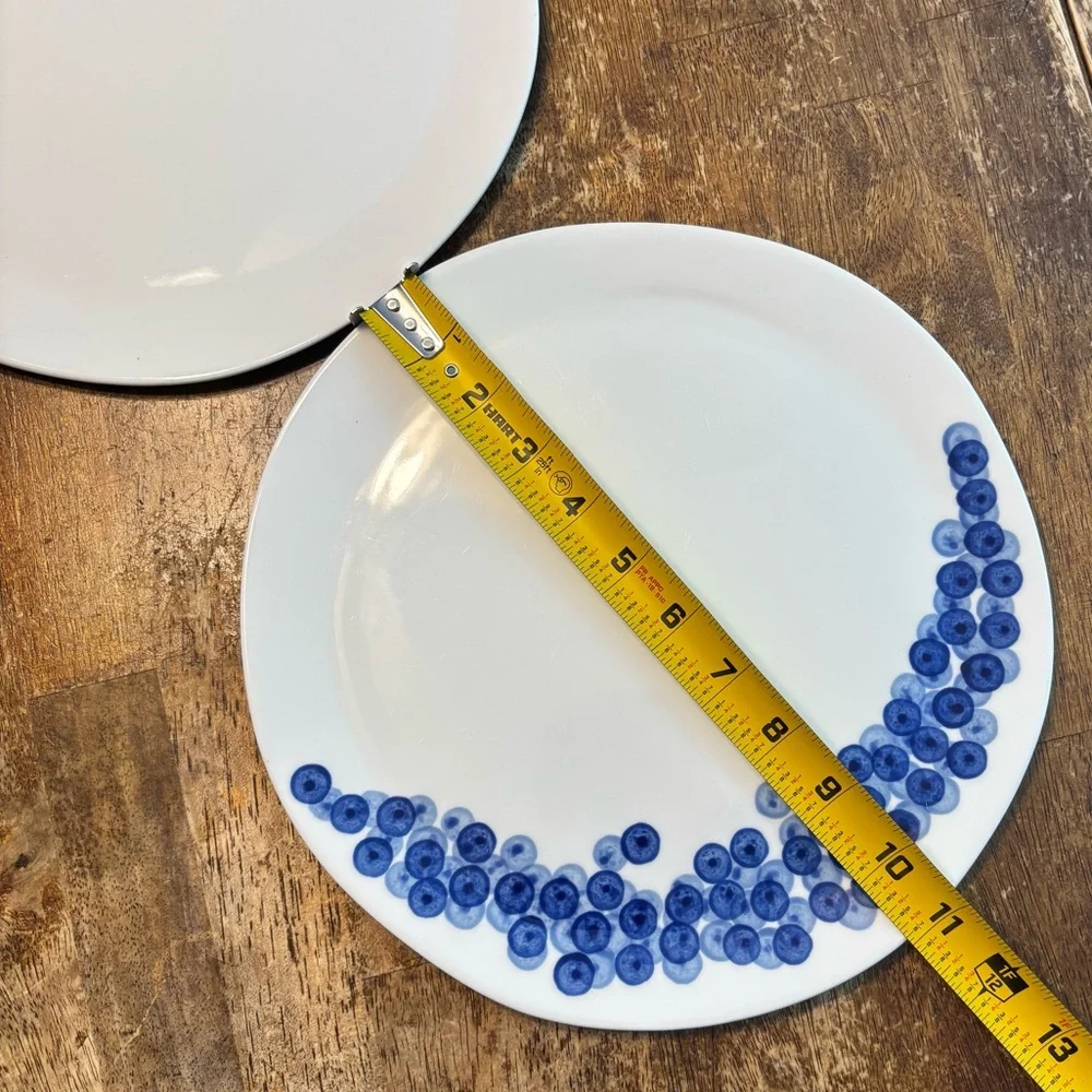 Set of 2 Crate & Barrel RIKA 10.75
